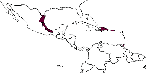map of Pseudaphycus utilis     Timberlake, 1923